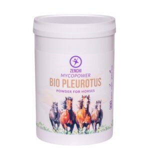 Oyster mushroom powder equine
