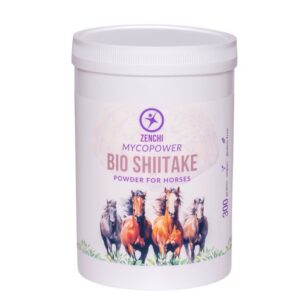 Shiitake mushroom powder equine
