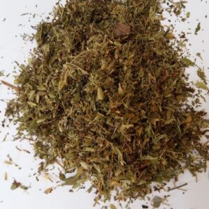 Stevia leaf