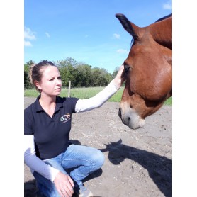REMOTE HEALING SESSION, 1ST CONSULTATION EQUINE