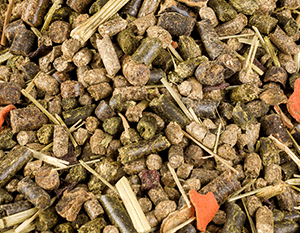 Pallet shipment of Metazoa horse feed available on request